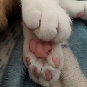 Meet your Posher, Magdalena